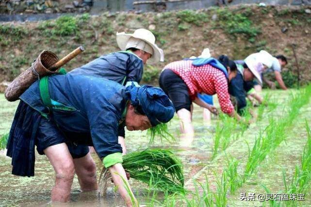 欧洲杯解说帝直播:欧洲杯直播 解说