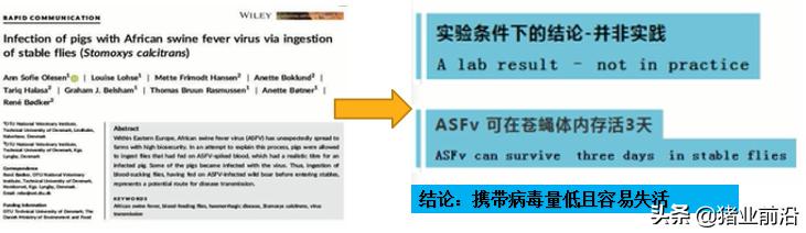 欧洲杯蚊子直播:欧洲杯赛程2021文字直播