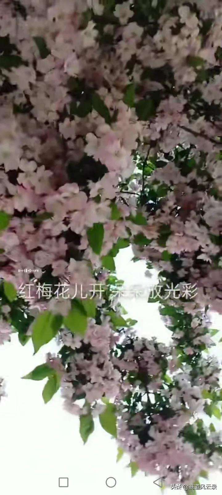 韶关哪里可以看欧洲杯直播:韶关哪里可以看欧洲杯直播的