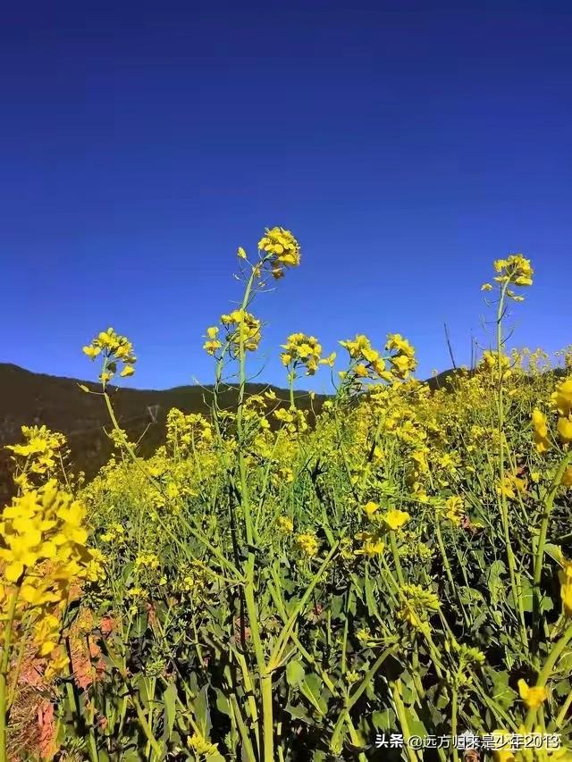 白山市哪能看欧洲杯直播:白山市哪能看欧洲杯直播的地方