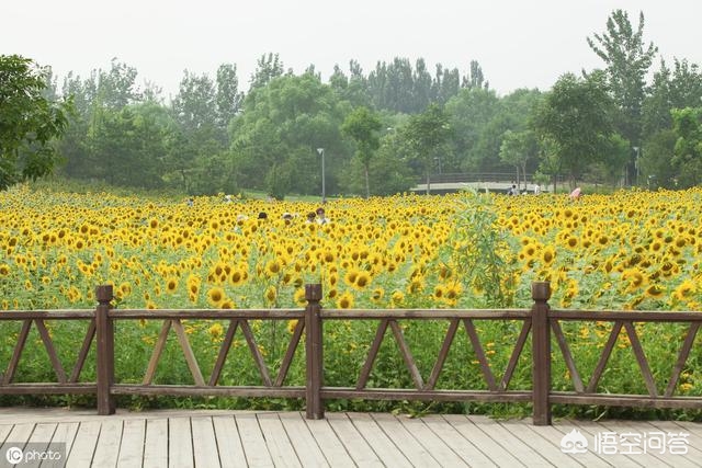 中山东升欧洲杯直播:中山东升棒球场最新消息