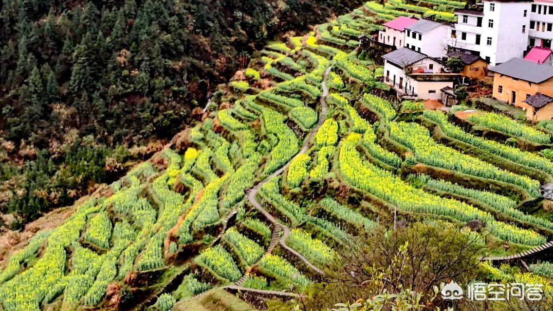 昆明哪能看欧洲杯直播比赛:昆明哪能看欧洲杯直播比赛的地方