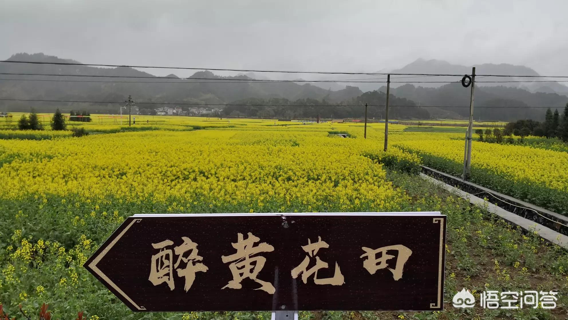 昆明哪能看欧洲杯直播比赛:昆明哪能看欧洲杯直播比赛的地方