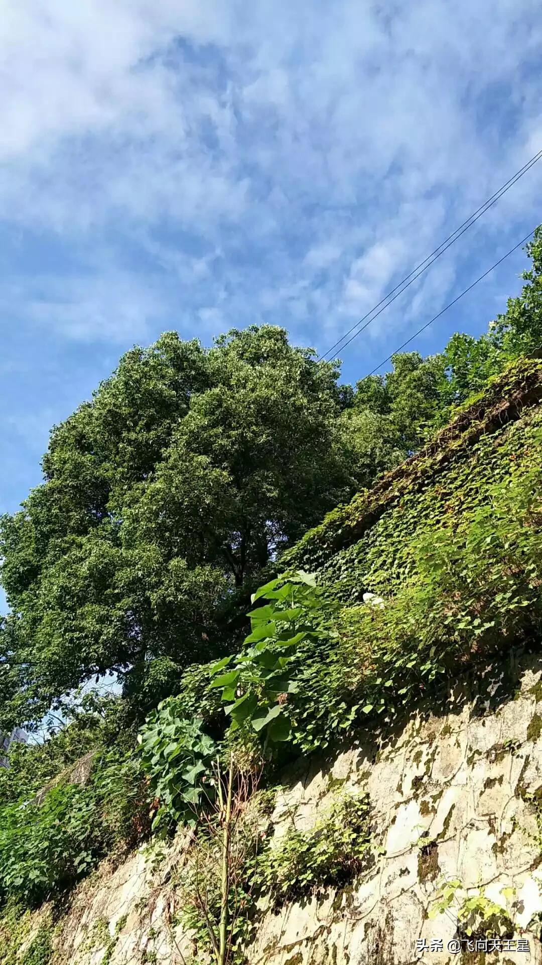 喝喜力看欧洲杯直播的视频:欧洲杯喜力啤酒的广告是谁