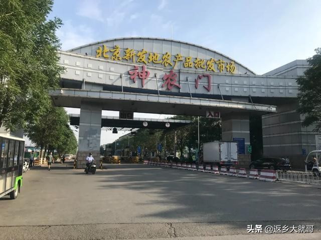 欧洲杯决赛现场直播粤语:欧洲杯决赛现场直播粤语版