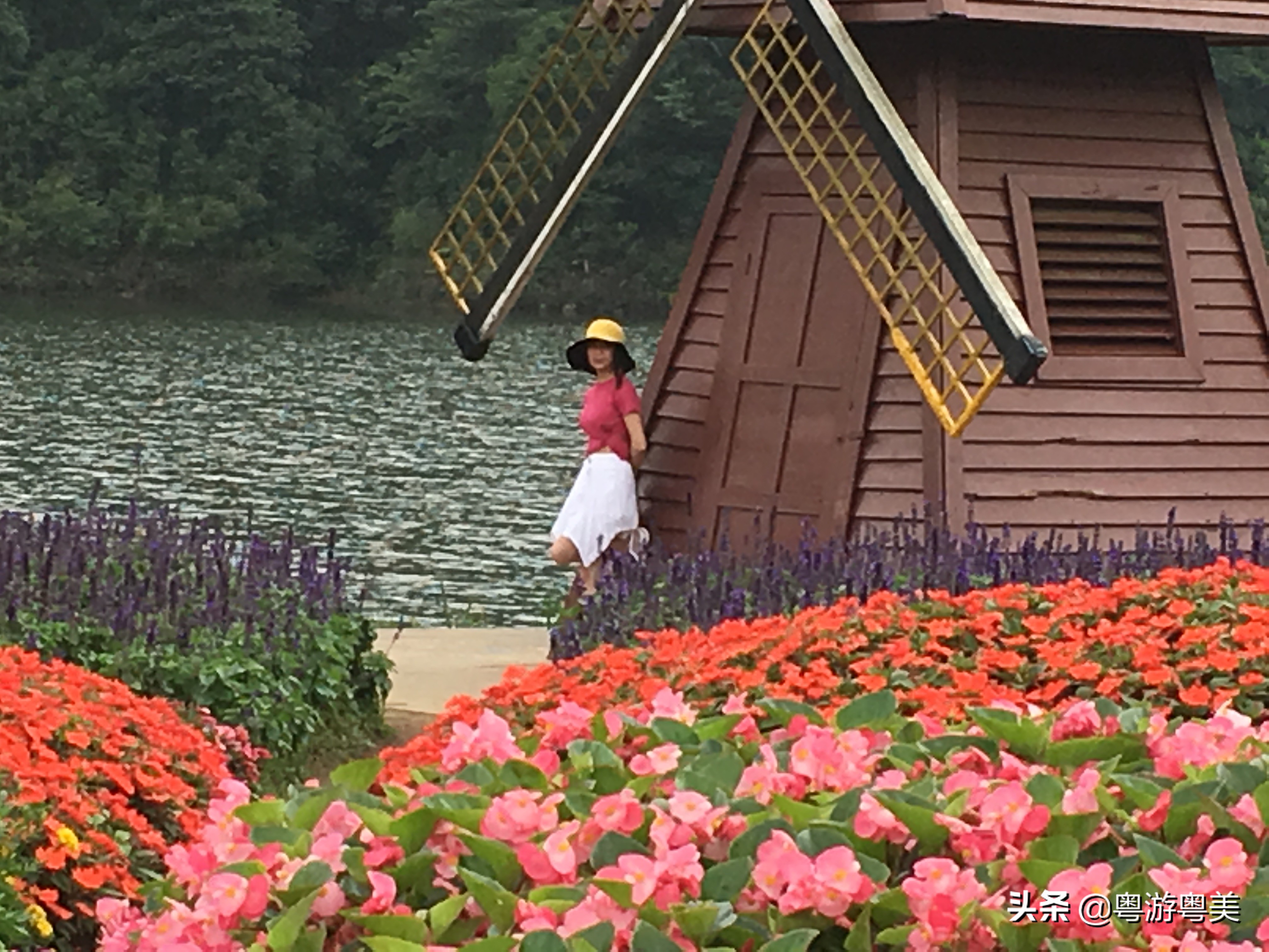 荔湾看欧洲杯在哪里看直播:荔湾看欧洲杯在哪里看直播的