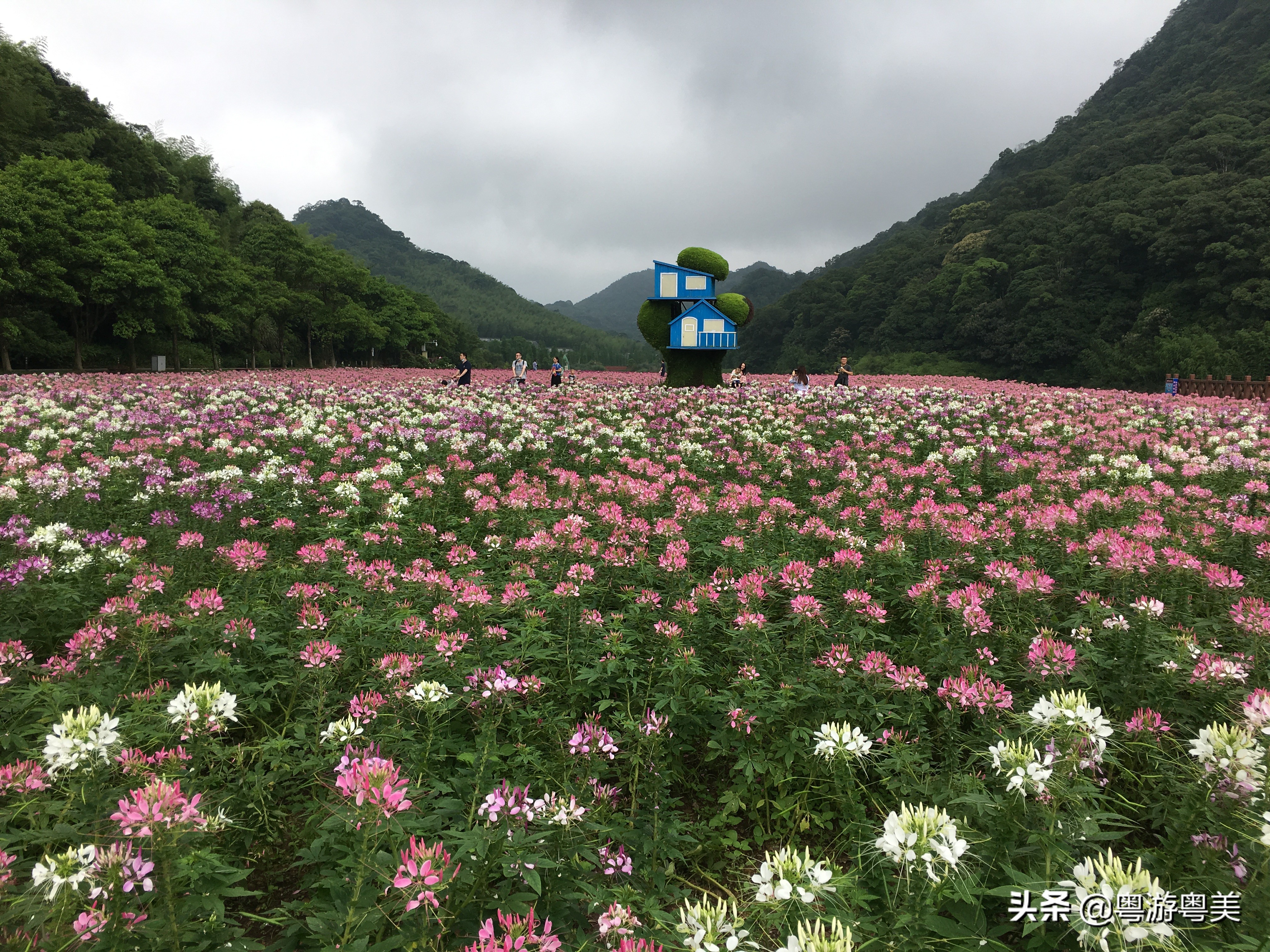 荔湾看欧洲杯在哪里看直播:荔湾看欧洲杯在哪里看直播的