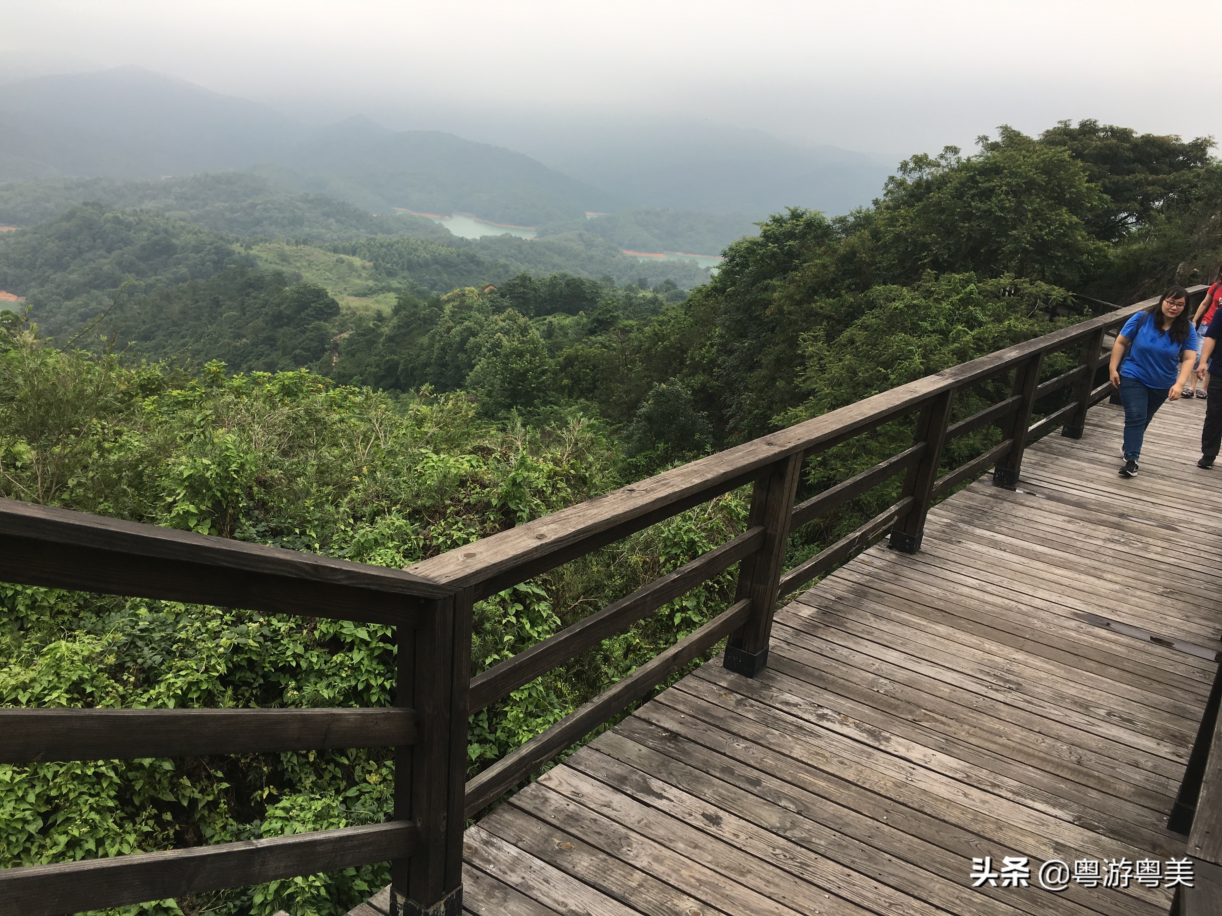 荔湾看欧洲杯在哪里看直播:荔湾看欧洲杯在哪里看直播的